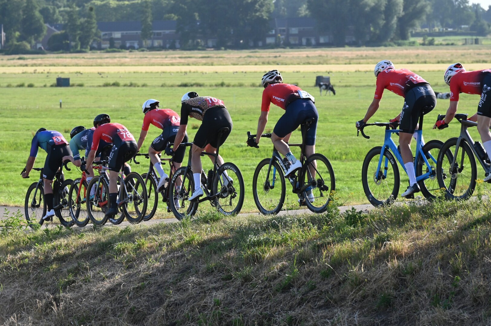 512685593-3148818001950380-6642955148858305782-n